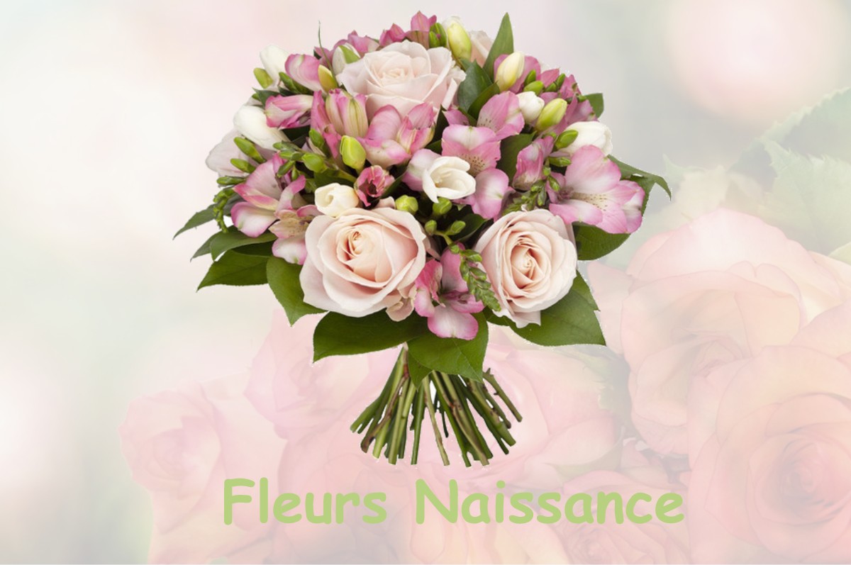 fleurs naissance VARENNE-L-ARCONCE